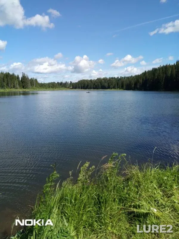 Perch, Tench — Mukshinka, Jul 07, 2019