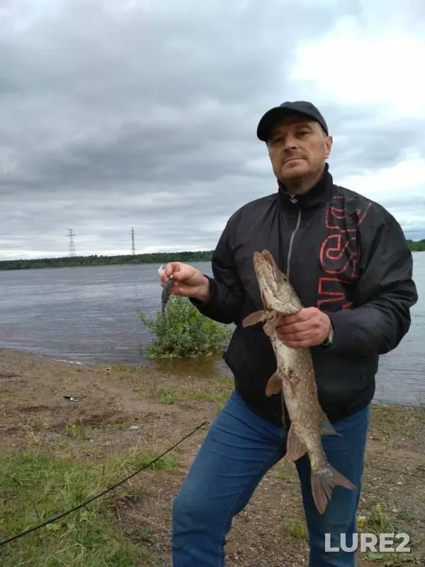 Pike — Konovalovka, Jul 28, 2019