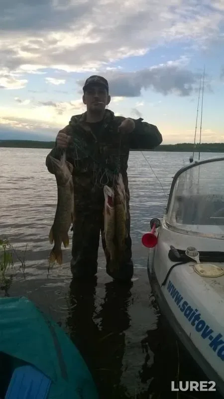 Pike — Kama, Aug 02, 2019