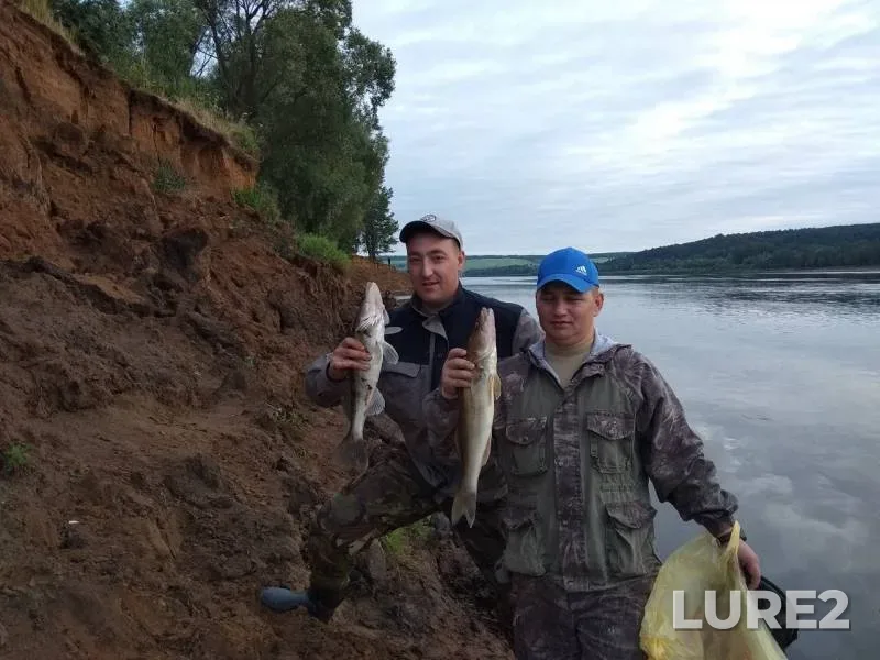 Zander — Udmurtskaya Respublika, Kiznerskiy rayon, Jul 14, 2019
