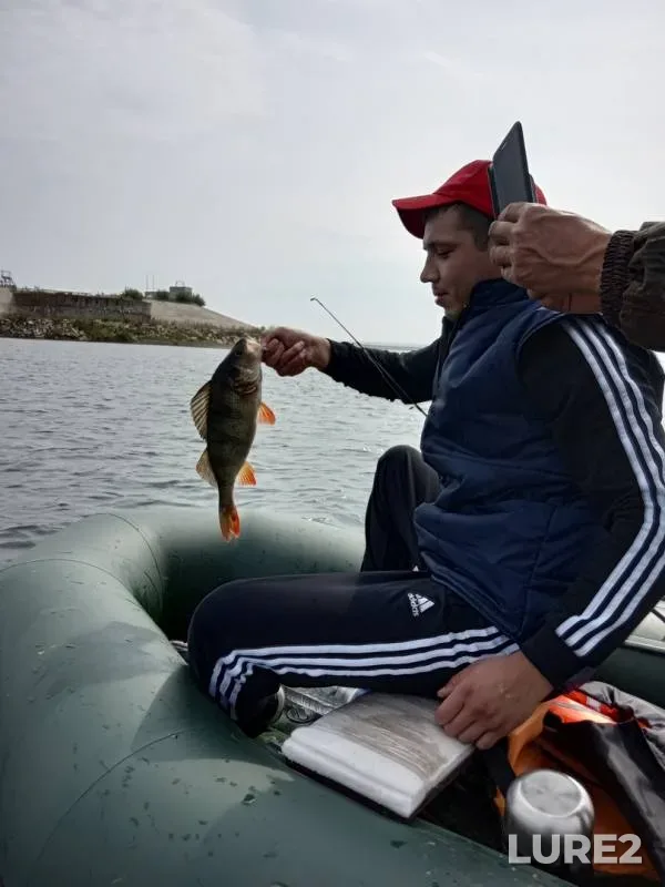 Perch — Nizhnekamskoye, Aug 19, 2019