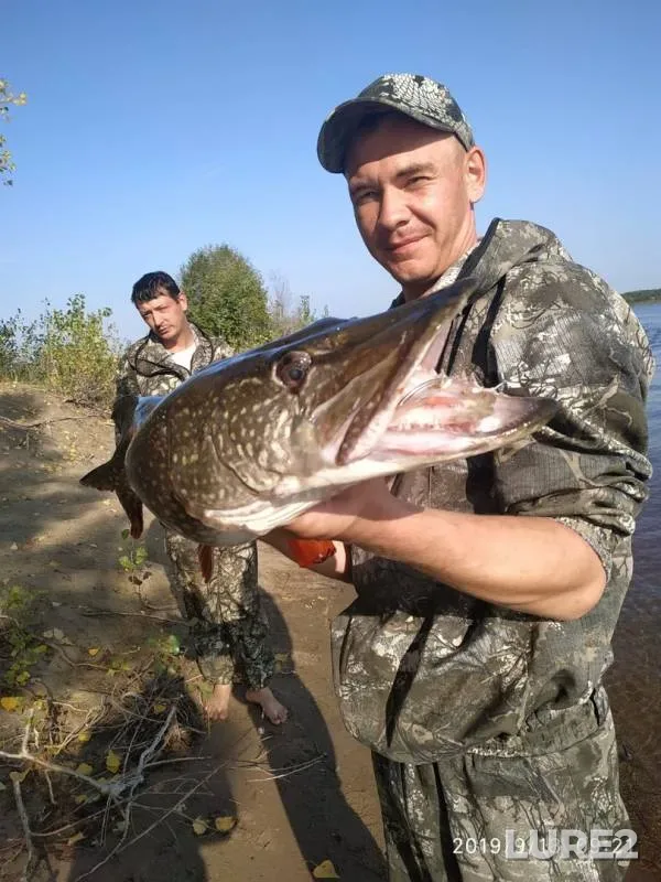 Pike — Nizhnekamskoye, Sep 14, 2019