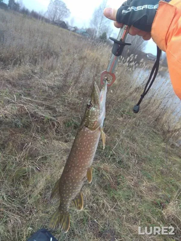 Pike — Petrovka, Nov 09, 2019