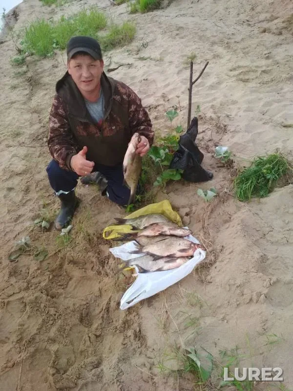 Bream — Severnaya Dvina, Jul 15, 2018