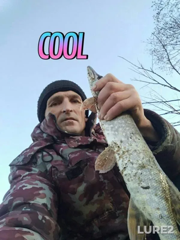 Pike — Toyma, Nov 14, 2019