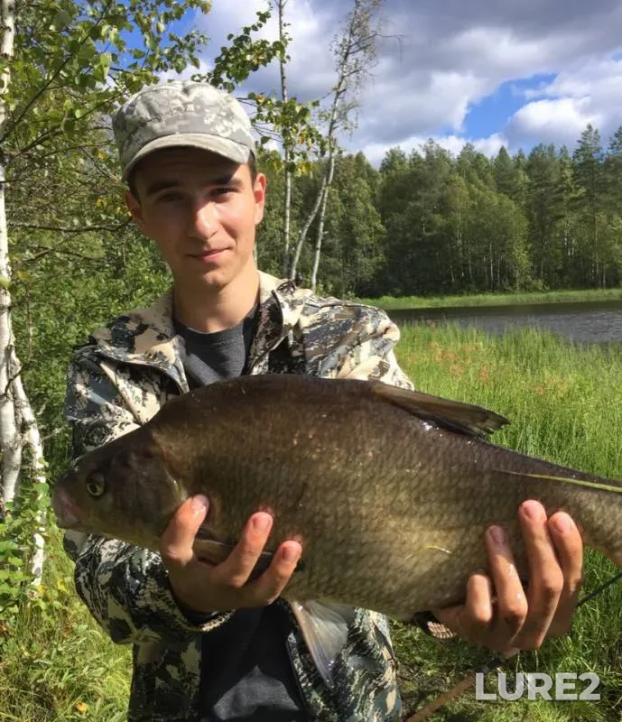 Bream, Roach — Syapsya, Aug 23, 2018
