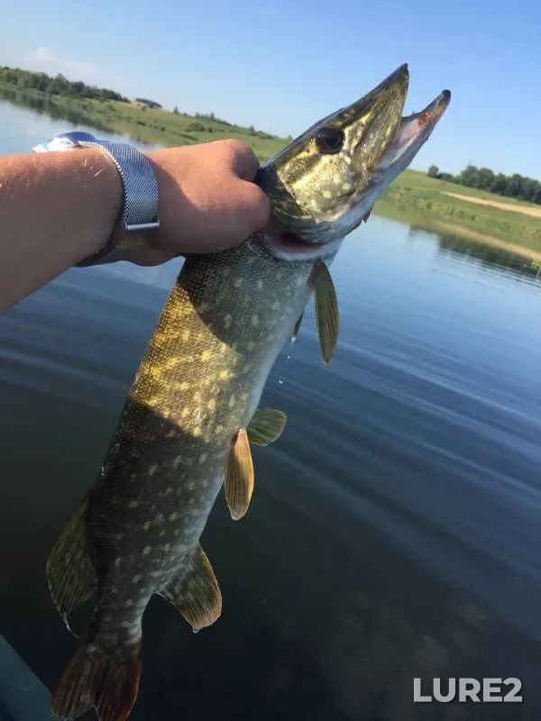 Pike — Korochka, Aug 03, 2018