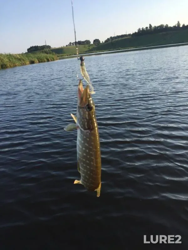 Pike — Korochka, Jul 31, 2018