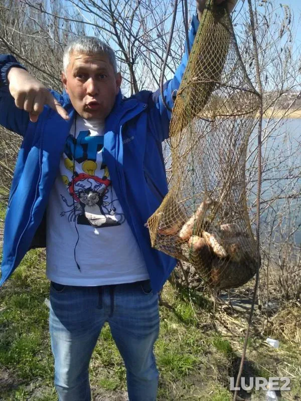 Crucian carp — Myortvyy Donets, Aug 22, 2018