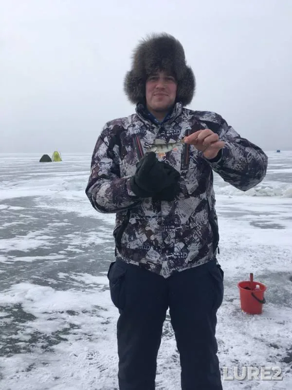 Perch — Shakshinskoye, Jun 26, 2018