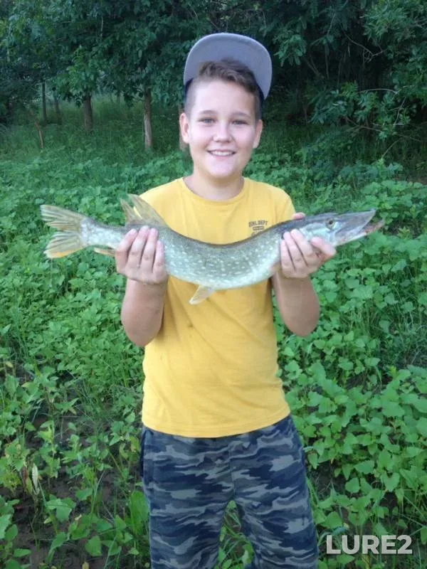 Pike — Akhtuba, Jul 23, 2018