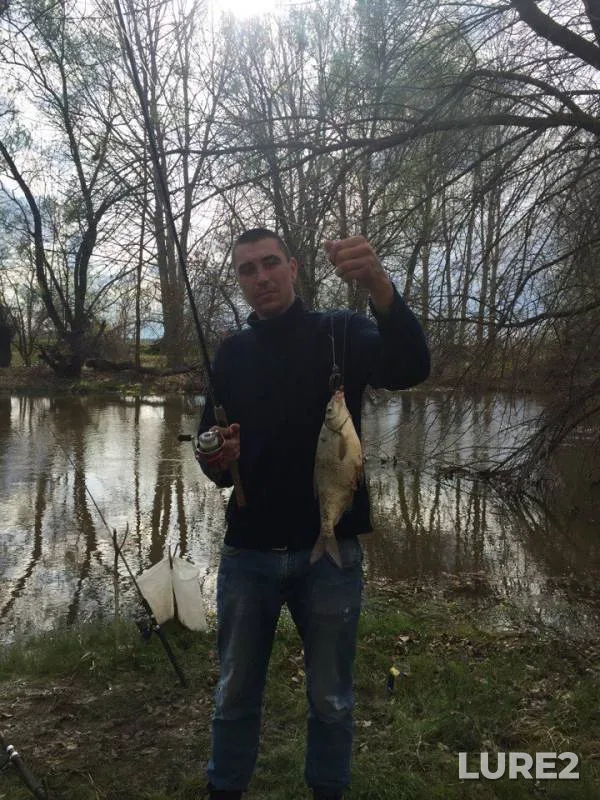 Bream — yerik Poperechnyy, Apr 23, 2018