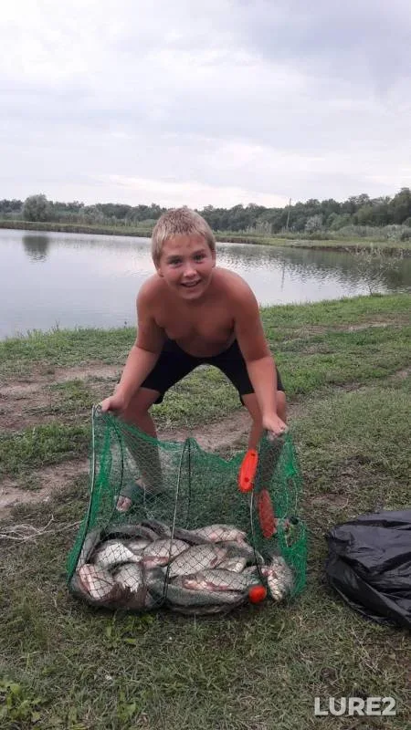 Crucian carp — Kanal Novokubanskiy, Sep 25, 2019