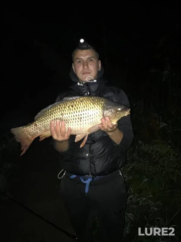 Carp — Banka, Aug 19, 2018