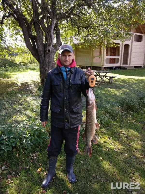 Pike — Volinska oblast, Sep 29, 2018