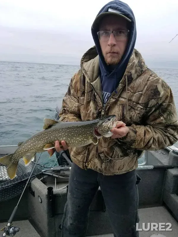 Lake trout — Talmadge River, Apr 05, 2016, 9:22 AM