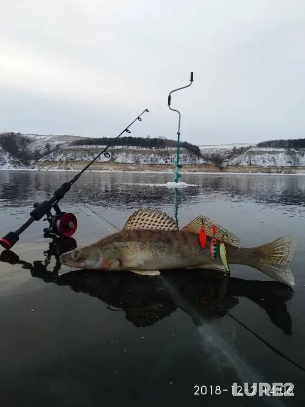Zander — Respublika Tatarstan, Dec 03, 2018