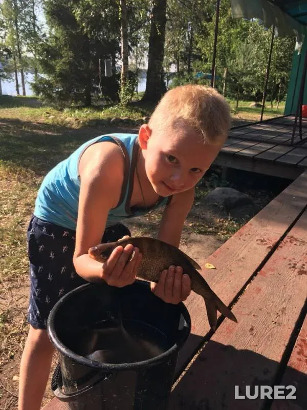 Bream — Aleksandrovskoye, Aug 11, 2018