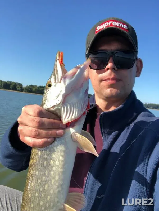 Pike — Mozhayskoye, Aug 25, 2019