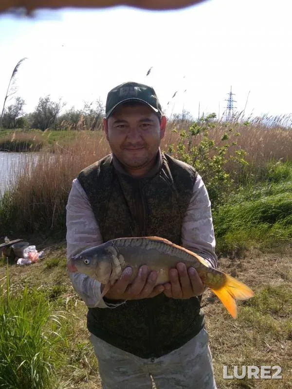 Carp — Kanal podvodyashchiy, May 12, 2019