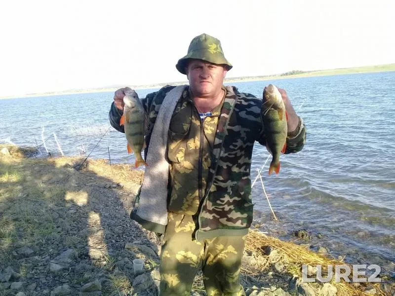 Perch — Shalkar, May 28, 2019