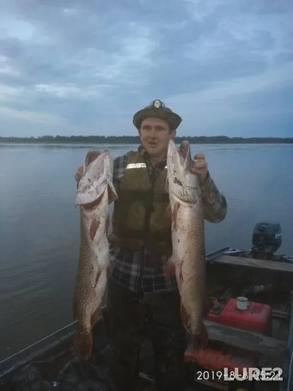 Pike — Sarovka, Aug 08, 2019