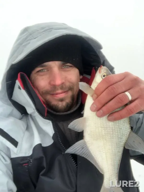 Bream — Moskva, Feb 02, 2019