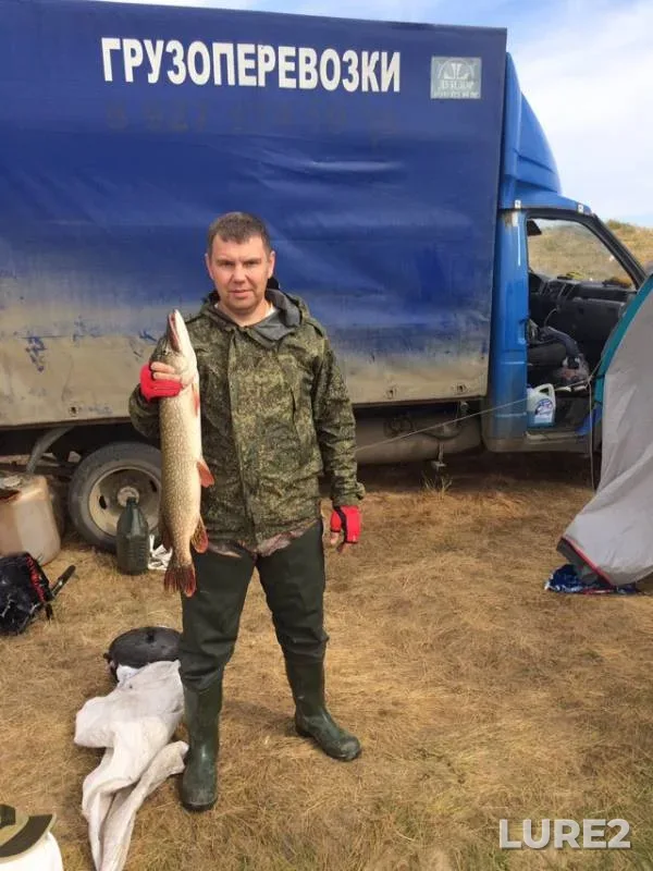 Pike — Astrakhanskaya oblast, Akhtubinskiy rayon, Oct 18, 2018