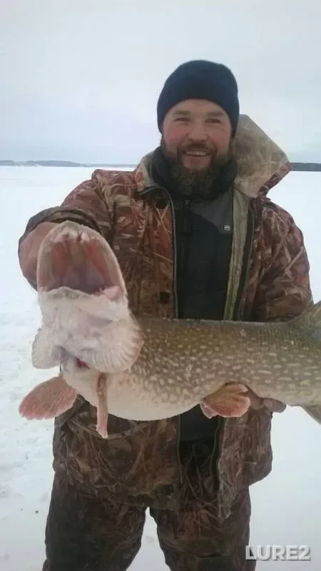 Pike — Volga, Jan 03, 2019