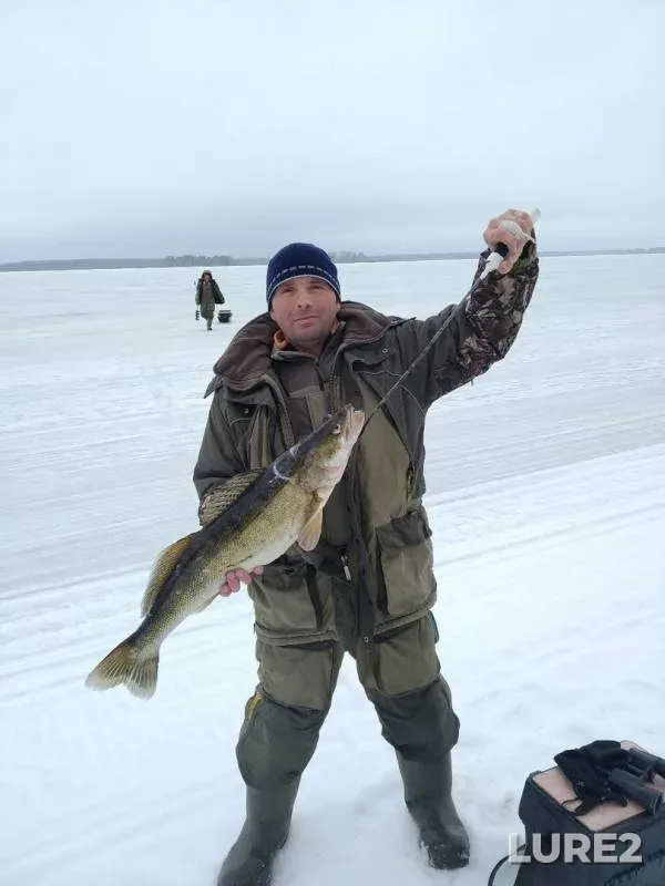 Zander — Volga, Mar 30, 2019