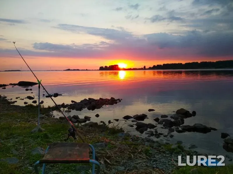 Bream — Volga, Jun 19, 2019