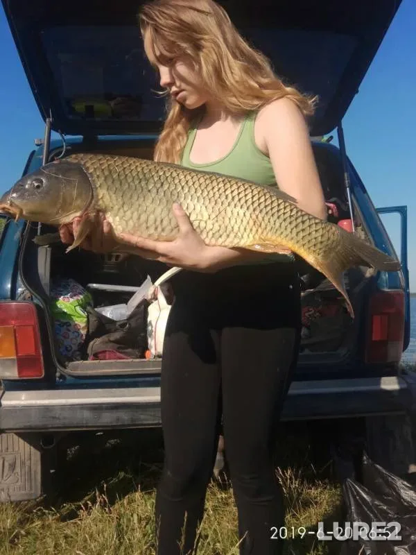 Crucian carp — Sviyaga, Jun 20, 2019