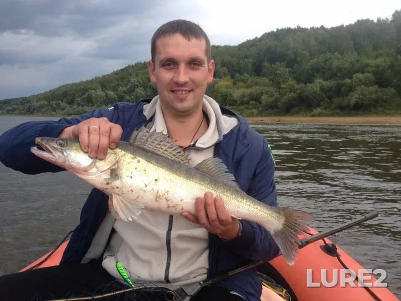 Zander — Oka, Sep 05, 2019
