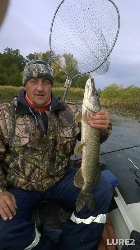 Pike — Saratovskaya oblast, Oct 18, 2018