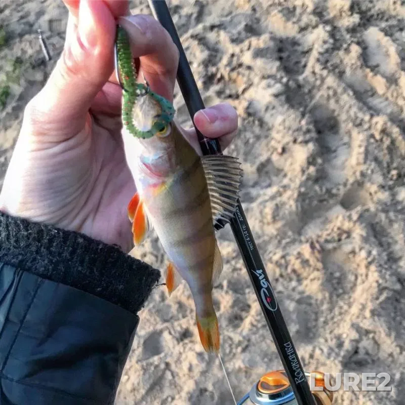 Perch — Volga, Nov 16, 2019