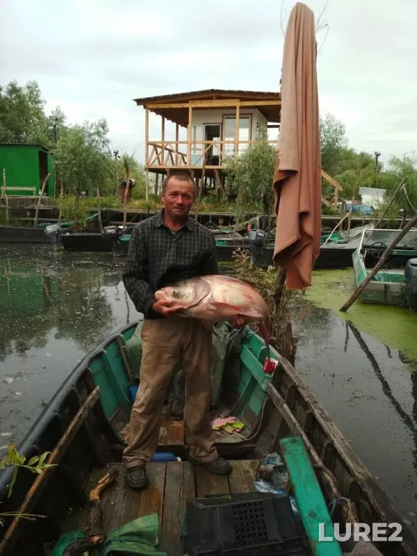 Silver carp — Kiliyskoye girlo, Jun 14, 2018