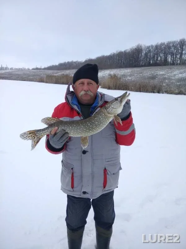 Pike — Psel / Psyol, Dec 06, 2018