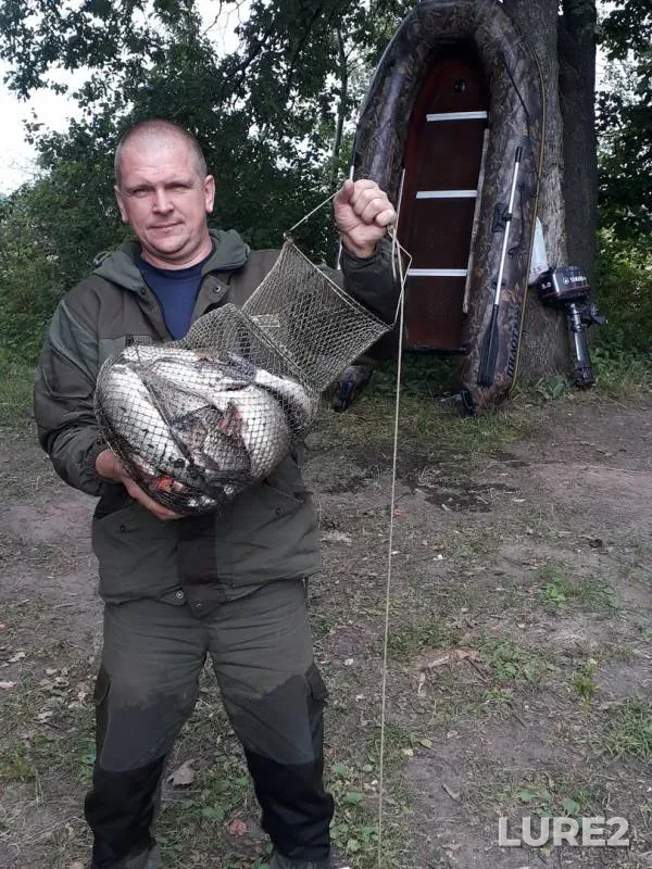 Crucian carp, Pike — Yamnoye, Aug 15, 2019