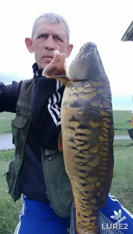 Carp — Kurskaya oblast, May 12, 2019