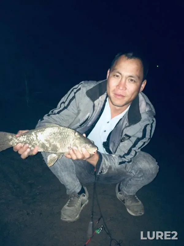 Carp — Syrdariya, May 12, 2019