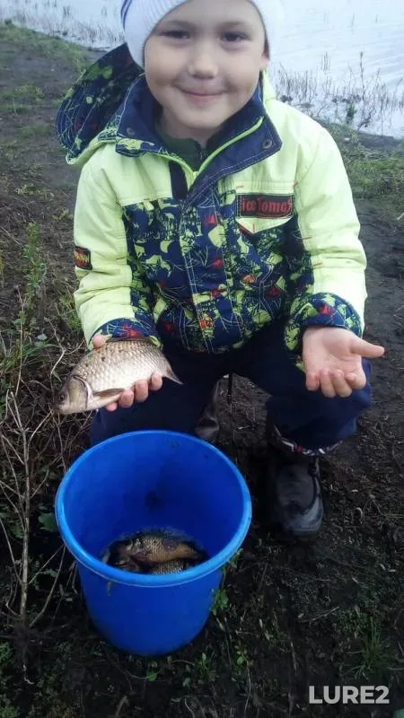Crucian carp — Patra, Jun 14, 2019