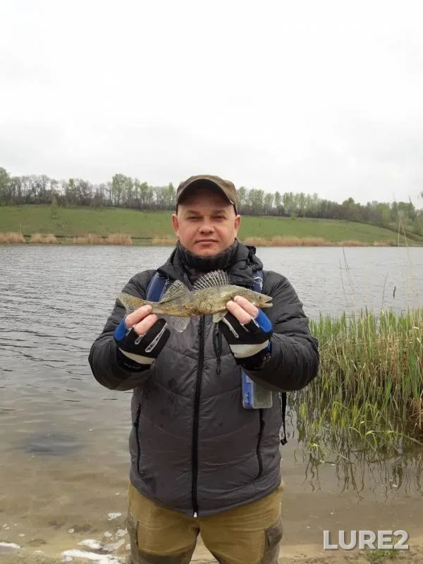 Zander — Toplinka, May 03, 2019