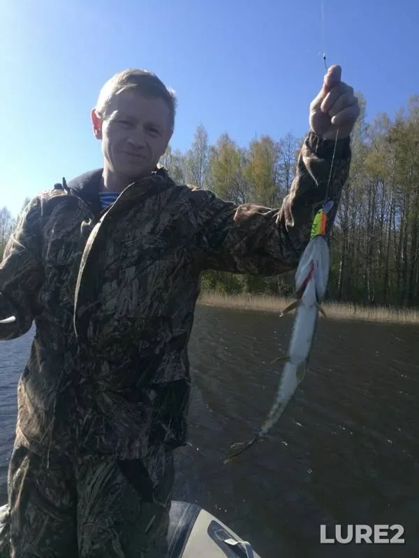Pike — Kuunjoki / Dymovka, May 10, 2019