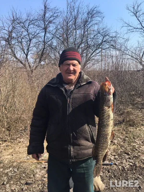 Pike — Poltavska oblast, May 29, 2019