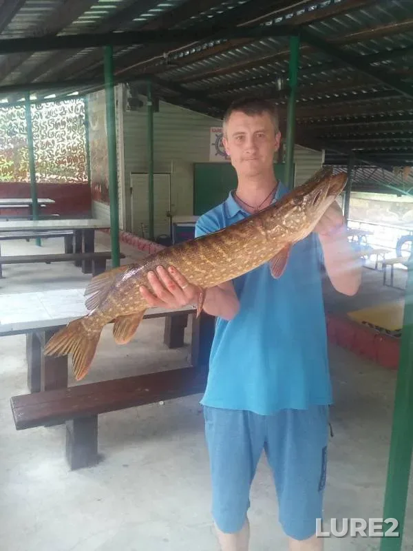 Pike — Klyazminskoye, May 30, 2019