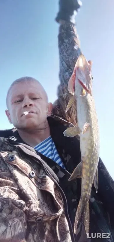 Pike — Severnyy rukav Vuoksy, May 31, 2019