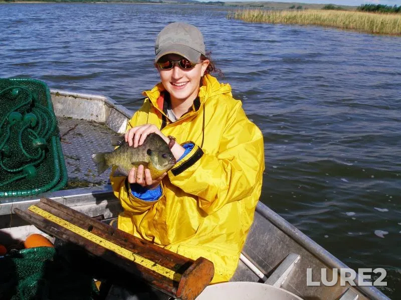 Bluegill — West Twin Lake, Feb 18, 2018