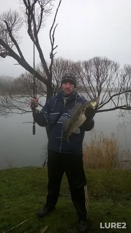 Zander — Donetska oblast, Jan 02, 2018