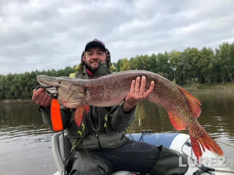 Pike — Irtysh, Sep 08, 2019