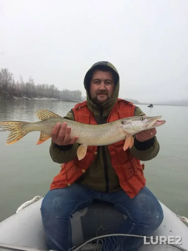 Pike — Ob, Oct 20, 2018